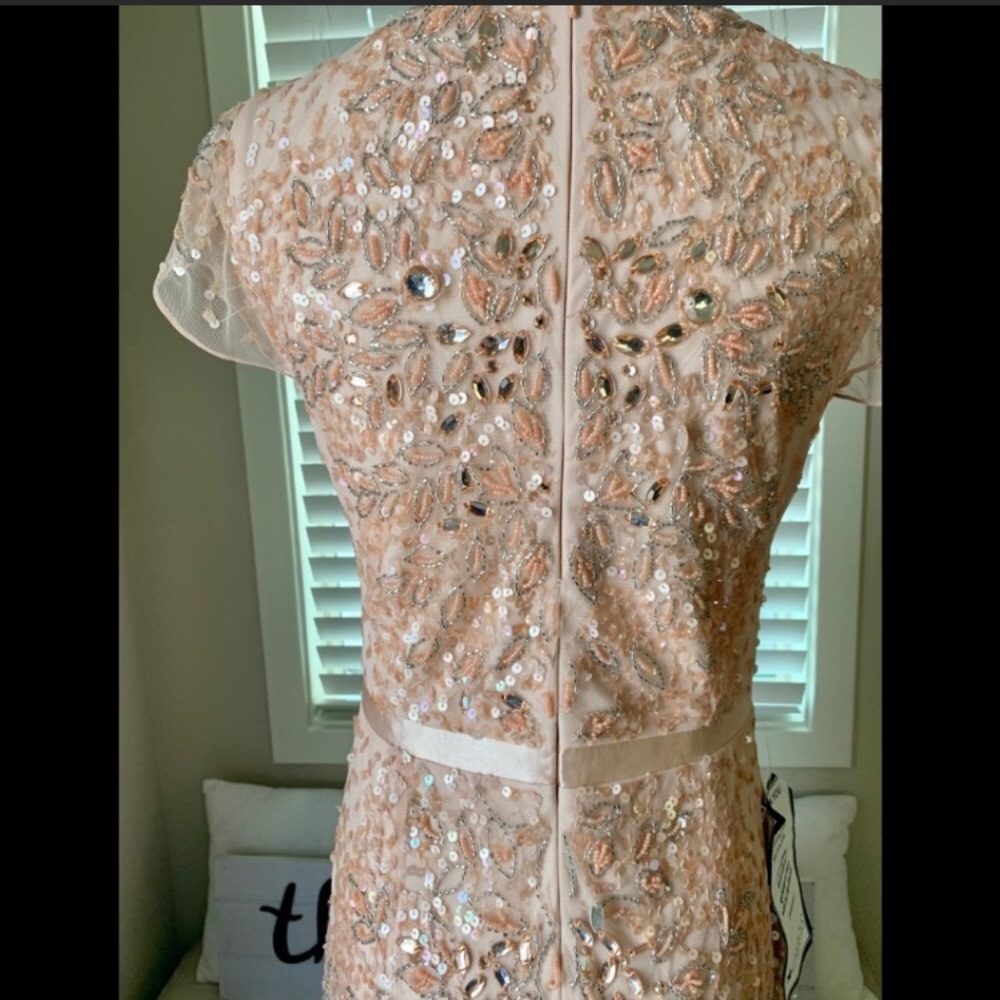 Adrianna Papell beaded cap sleeves V-neck waistband long Dress - Picture 6 of 9